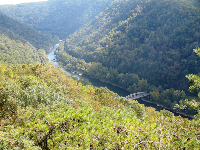 [The river cuts through the valley coming around the bend to a straighter section with has a bridge just above the water level. The hillsides are completely filled with trees except for a section on the right side of the river which is open for the road alongside the river.]